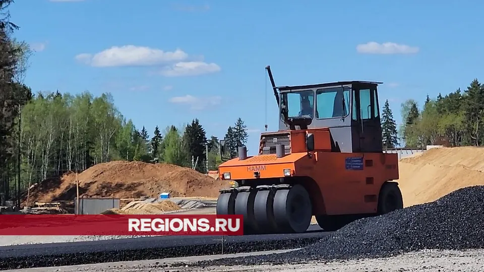 Фото: Никита Сморкалов