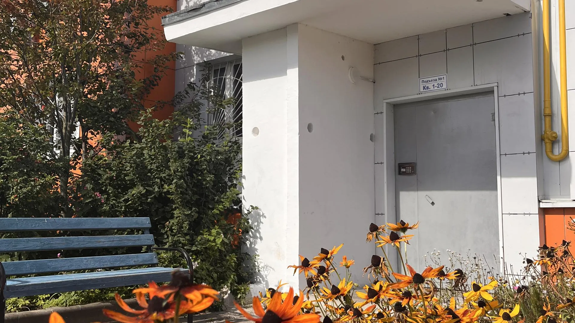 Екатерина Данилина