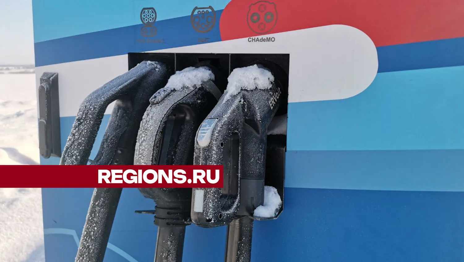 Фото: Дарья Кургузова