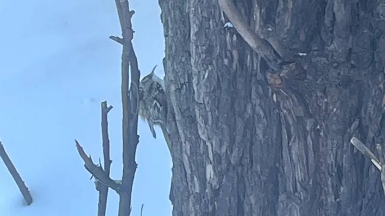 REGIONS/Ольга Иванова