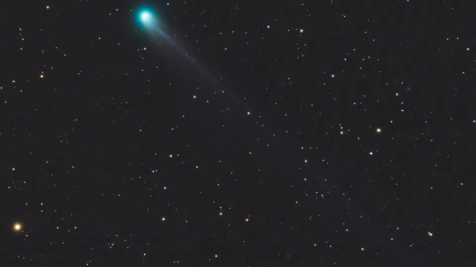 Фото: istockphoto.com/Franco Tognarini