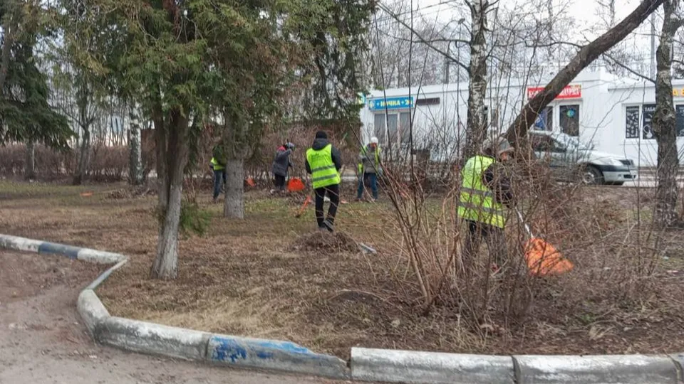 Фото: пресс-служба администрации г. о. Кашира