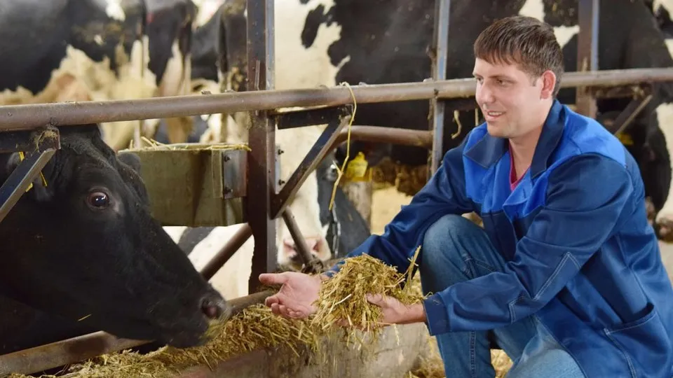 Фото: пресс-служба МОРО партии «Единая Россия»