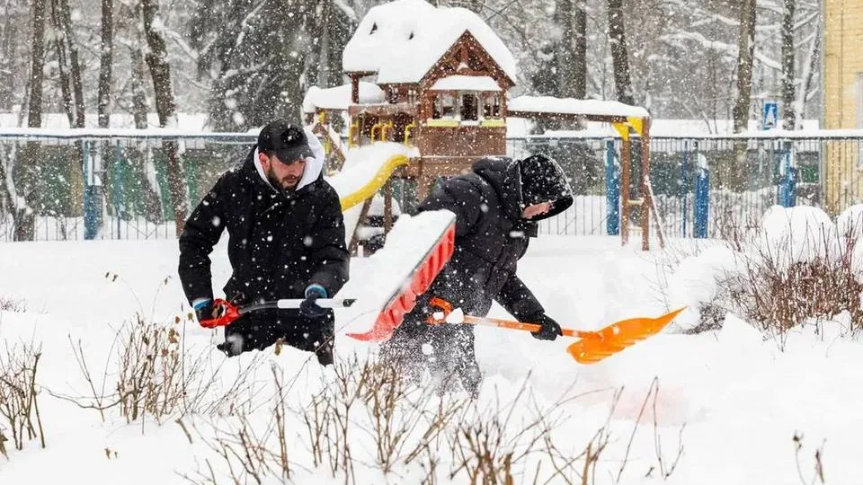 Фото: t.me/AnnaKrotova_Lobnya