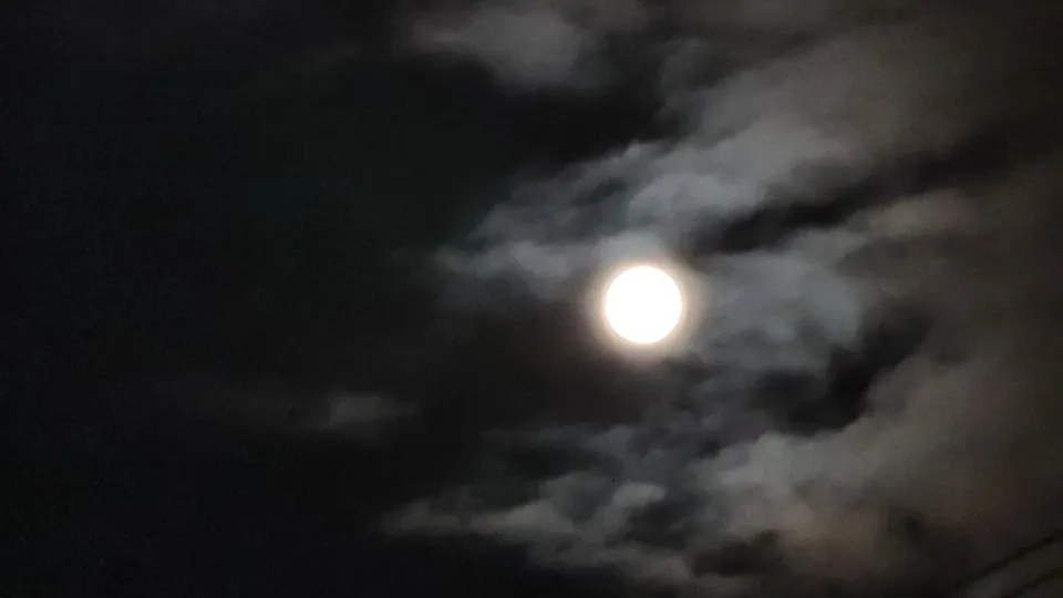 Фото: МедиаБанк Подмосковья/Марина Анисимова