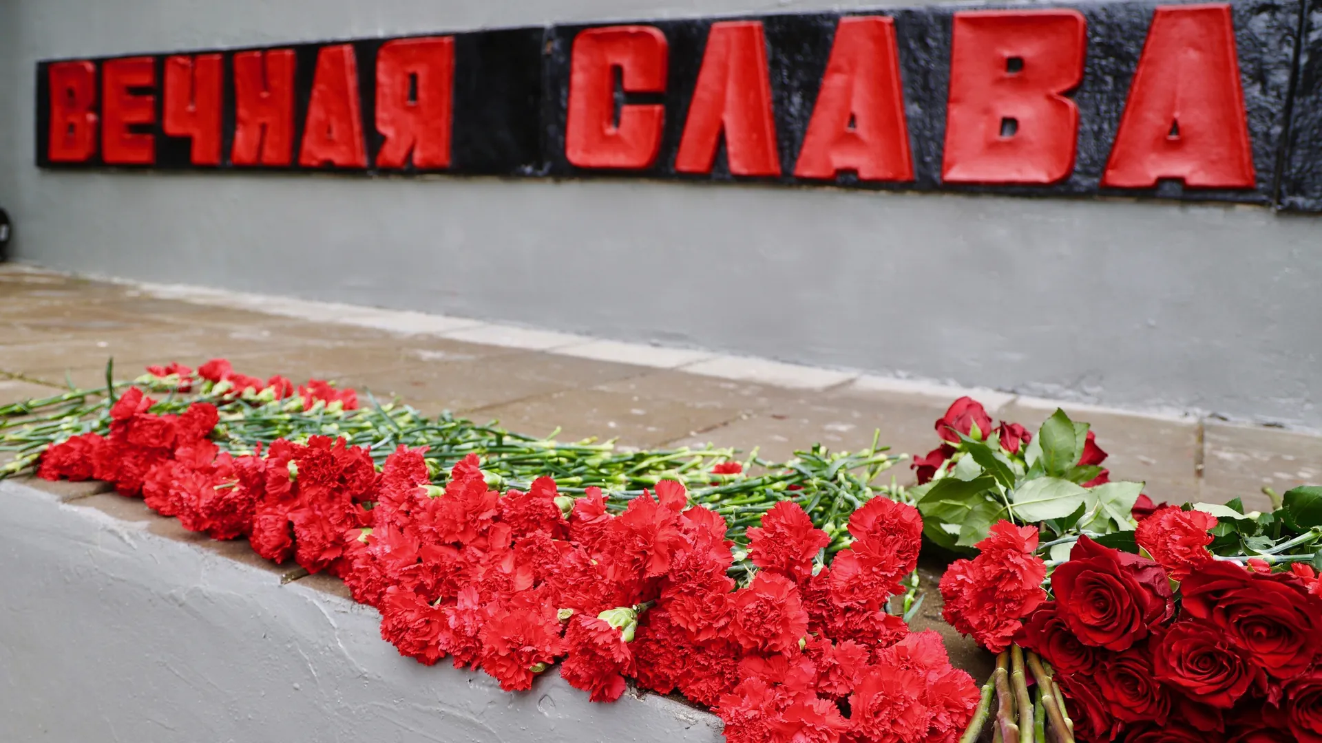 Фото: пресс-служба администрации г.о. Щелково