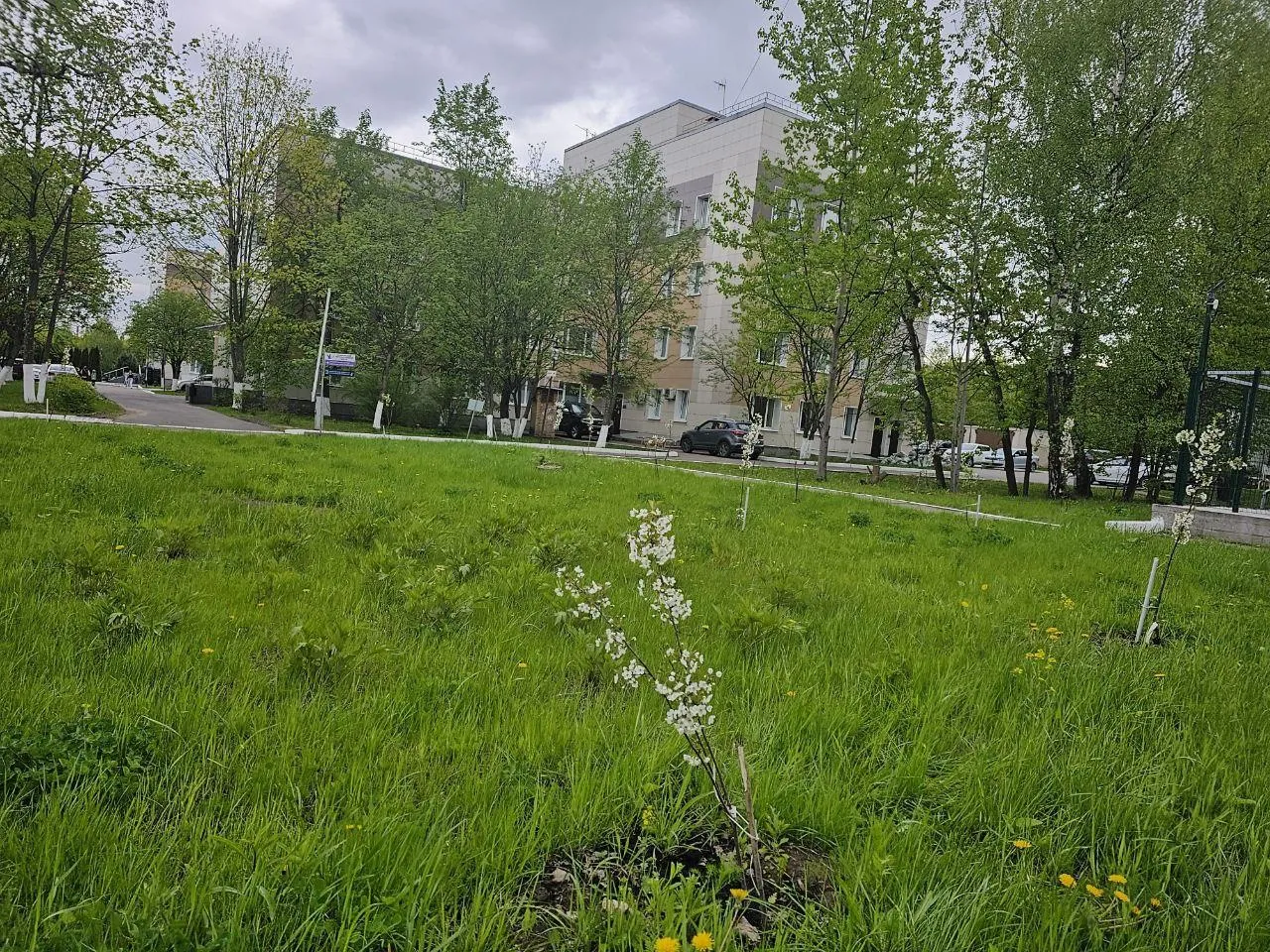 Фото: ГБУЗ МО «Видновский перинатальный центр»