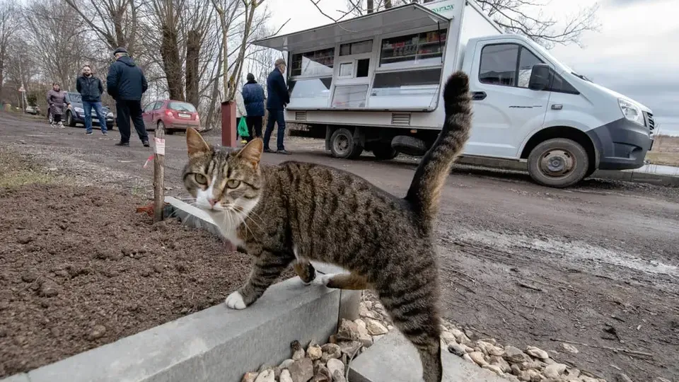 Фото: Андрей Абрамов / Комсомольская правда