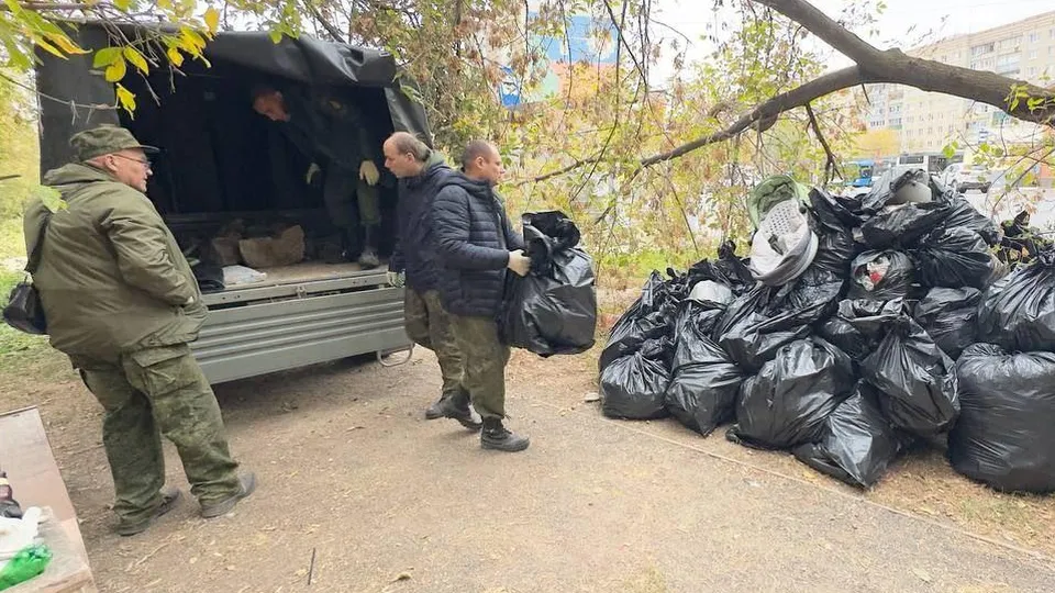 Фото: Комитет лесного хозяйства МО