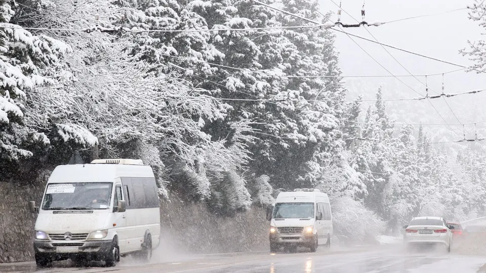 Фото: ТАСС/Мальгавко Сергей