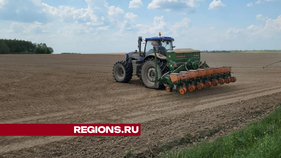 Фото: Екатерина Данилина