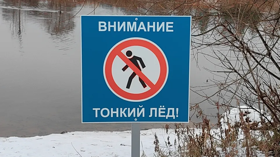 Фото: МедиаБанк Подмосковья/Елена Катасонова