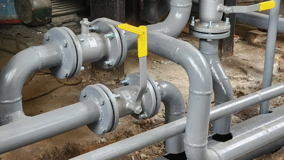 Фото: Ольга Аввакумова