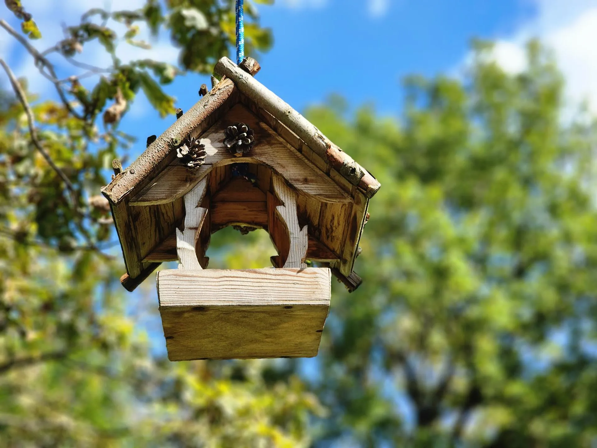 Фото: REGIONS/Наталья Дорошева