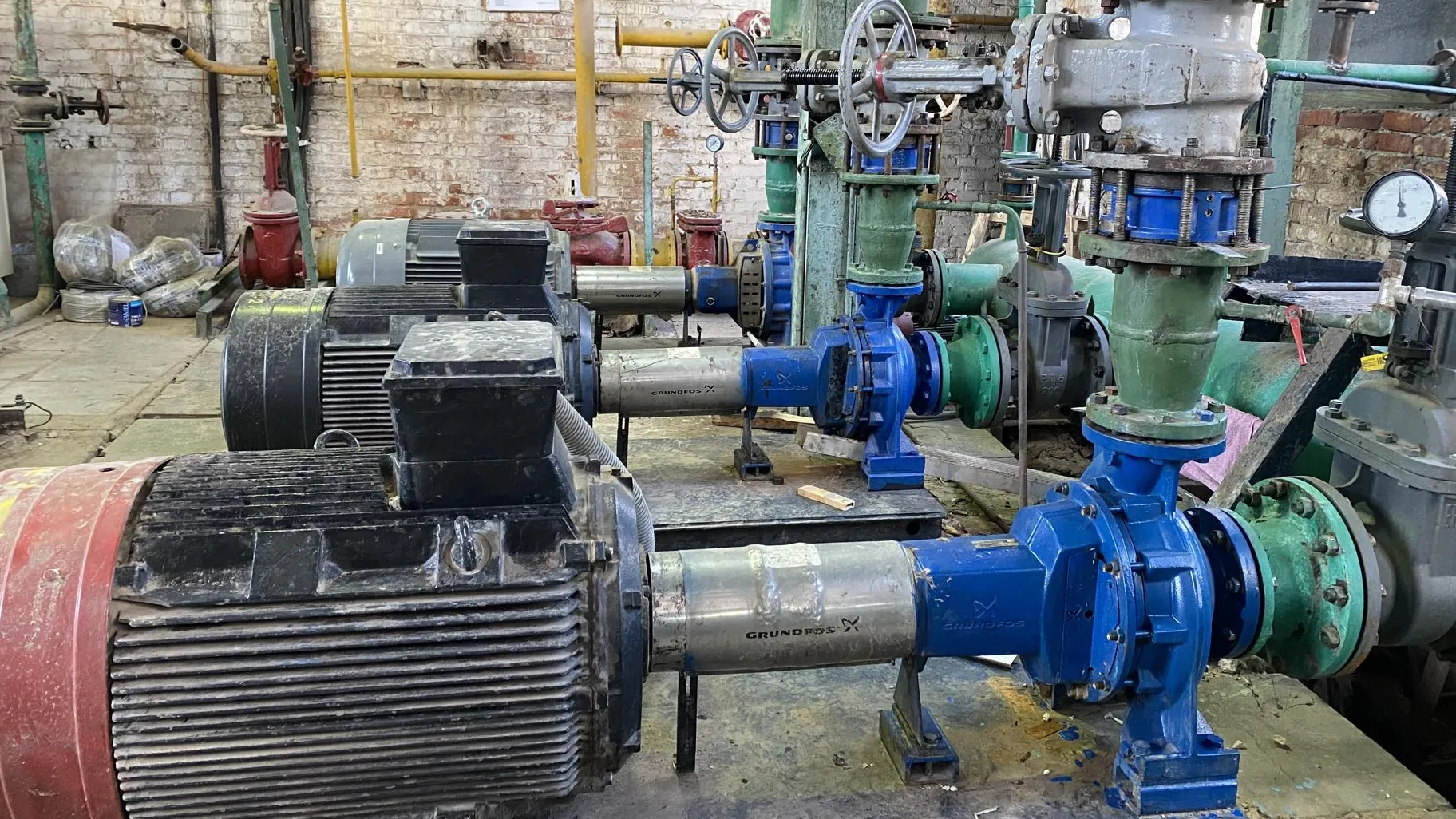 Анна Артюшина