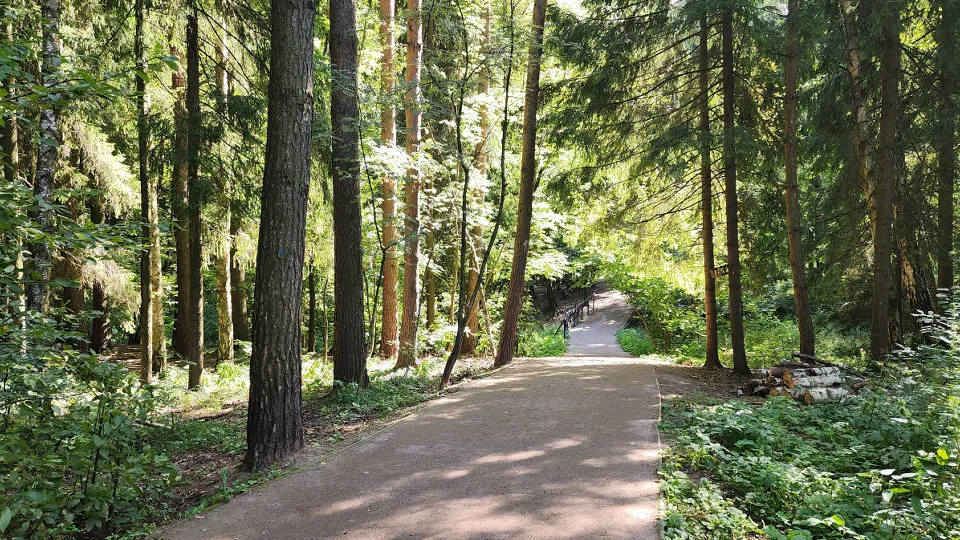 Фото: МедиаБанк Подмосковья/ Никита Сморкалов