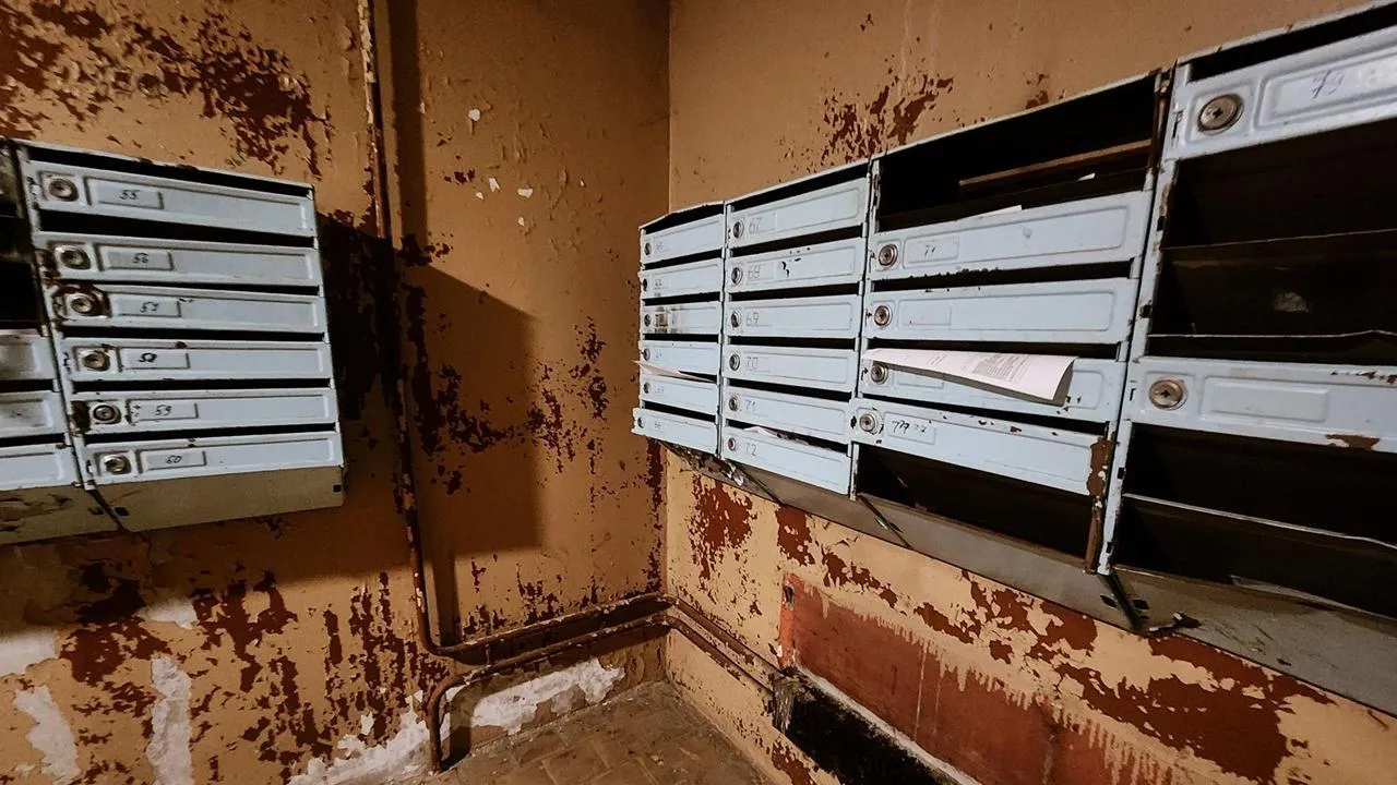 REGIONS/Мария Панина