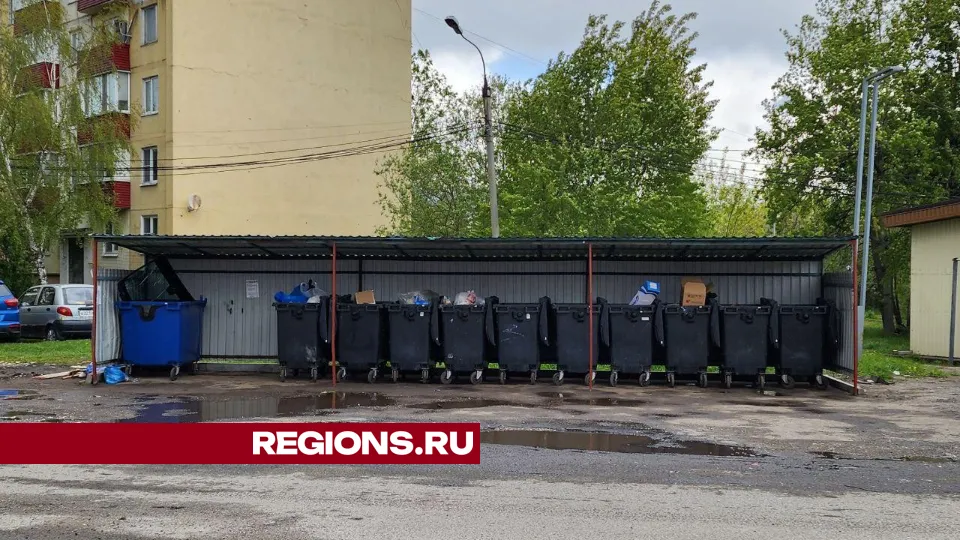 Фото: Елена Лабзина