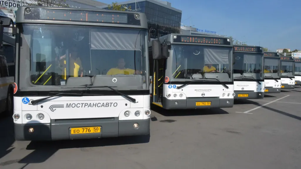 Фото: Медиаархив Подмосковья