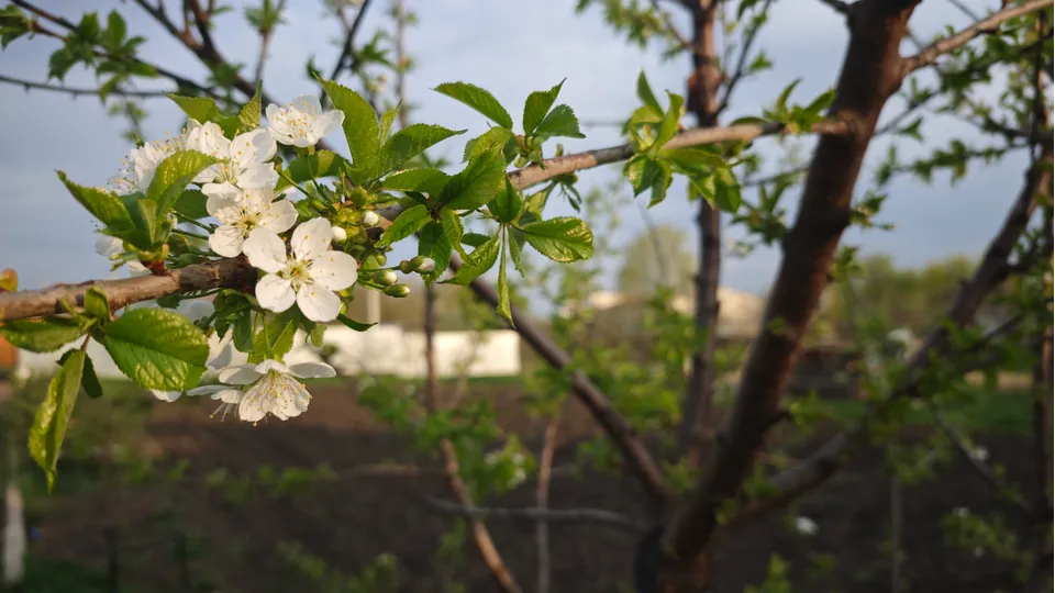 Фото: REGIONS/Дарья Кургузова