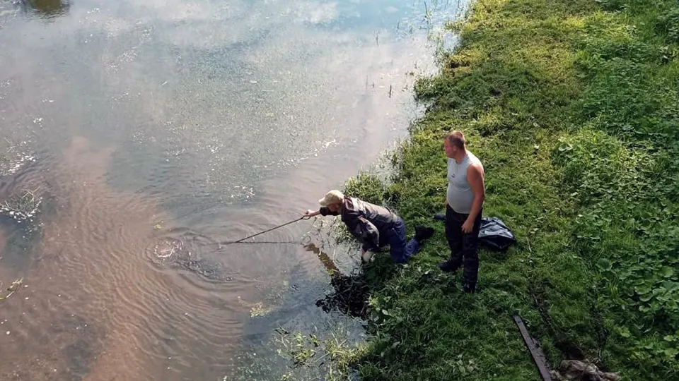 Фото: пресс-служба администрации г.о. Власиха
