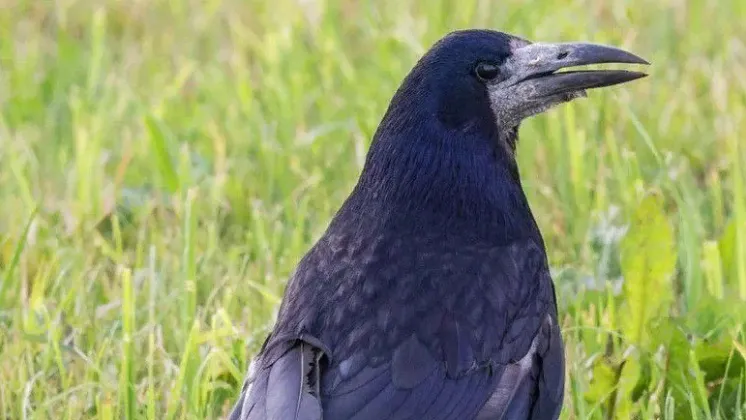 Фото: Юрий Подвербный