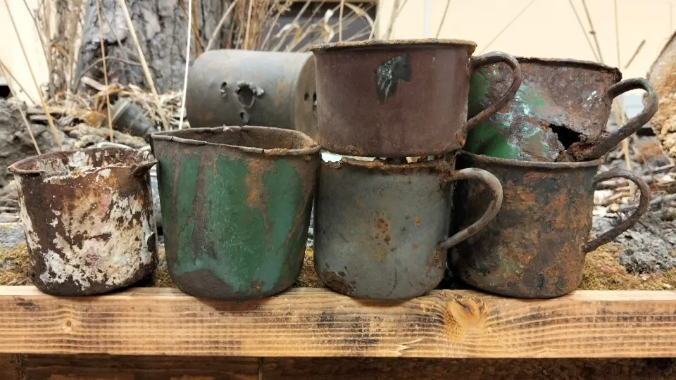 Фото: Егор Черналов