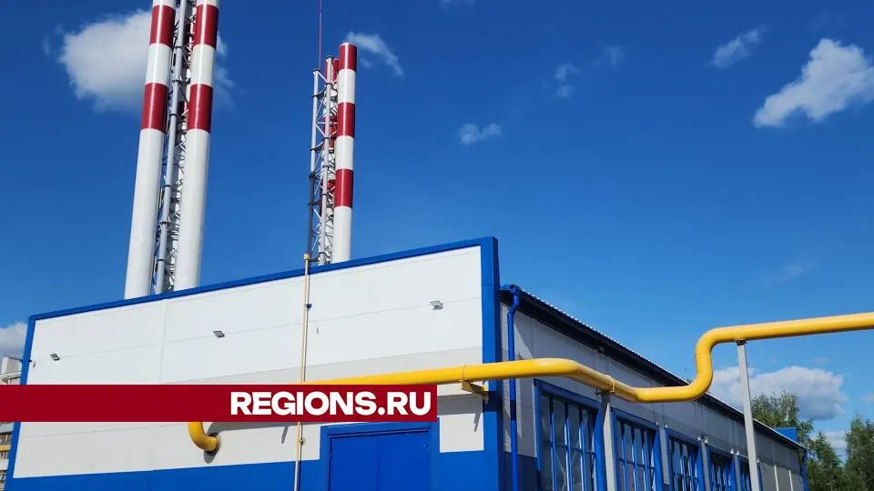 Фото: Ольга Сычева