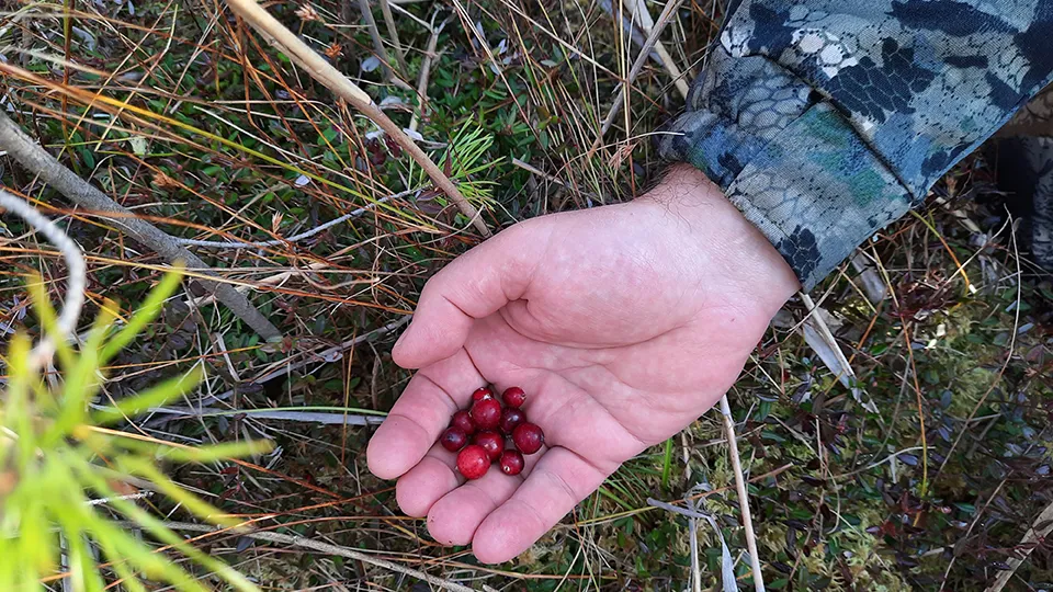 Фото: Михаил Мартыненко