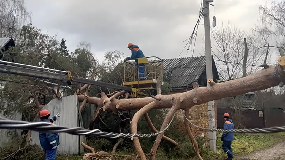 Фото: Мособлэнерго