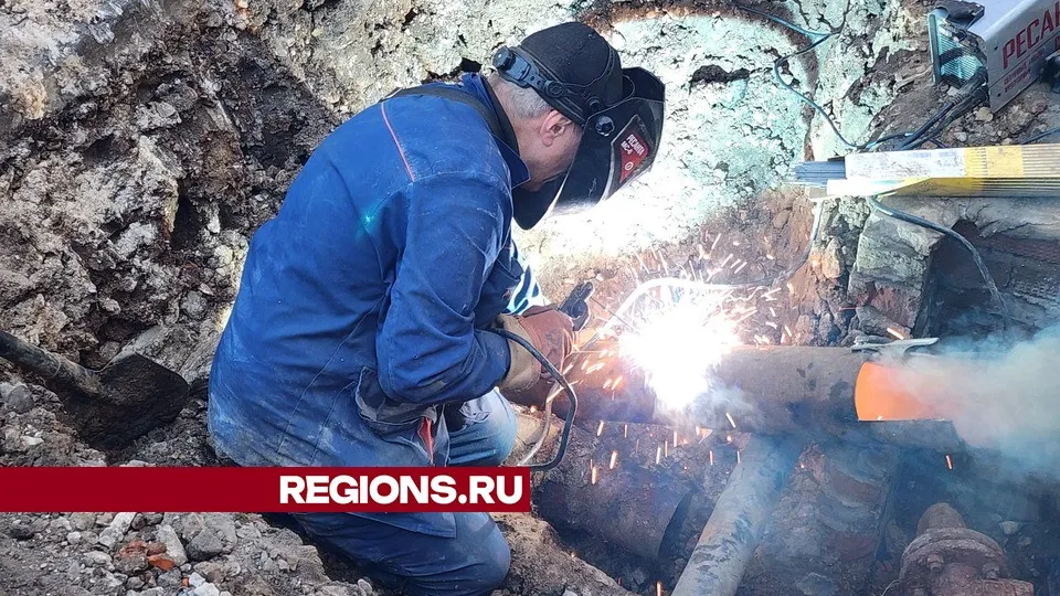 Фото: Дмитрий Алексеенко