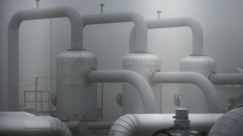 Алексей Витвицкий / РИА Новости