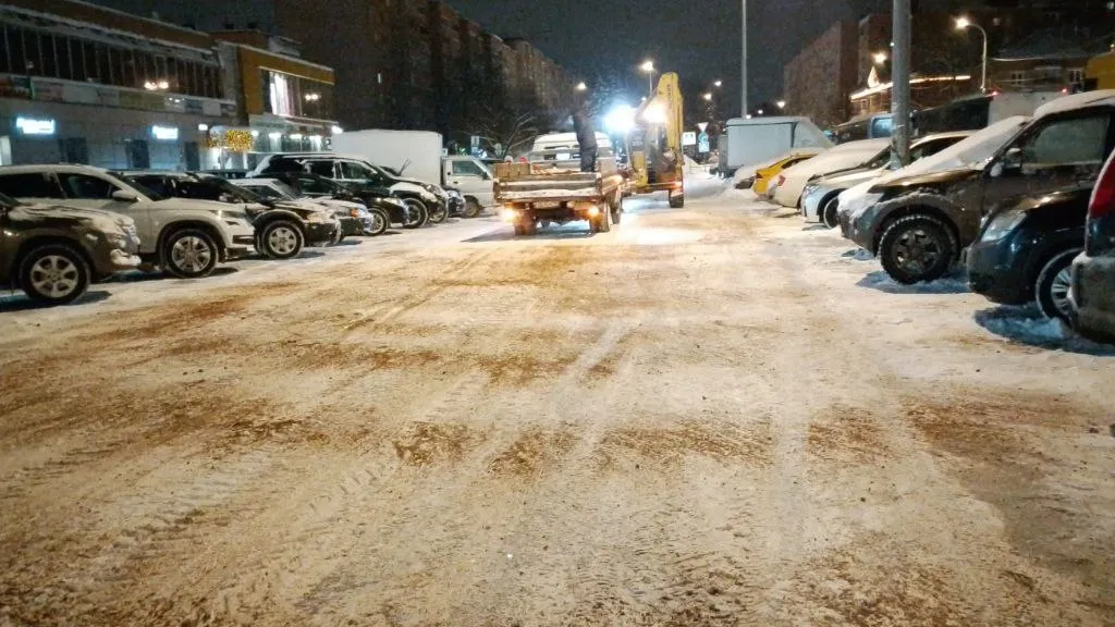 Соцсети Анны Кротовой