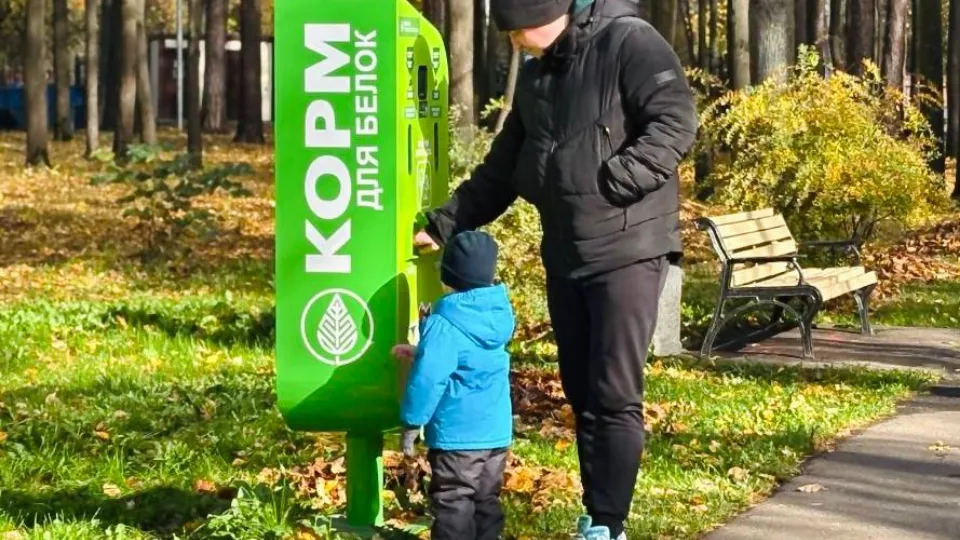 Фото: t.me/parkividnoe