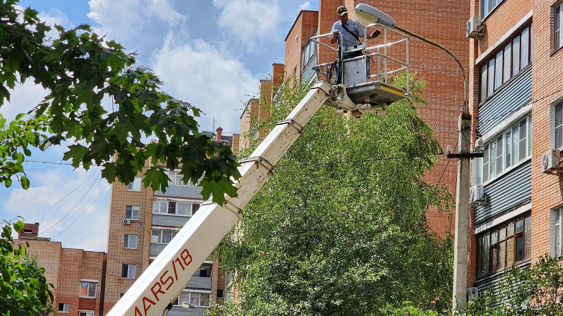 Фото: Медиабанк Подмосковья/Дмитрий Алексеенко