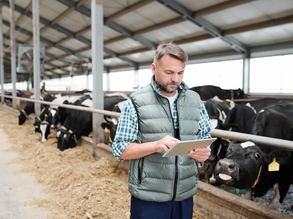 Фото: istockphoto.com/shironosov