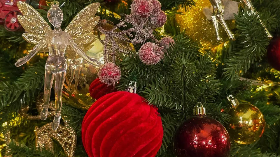 Фото: REGIONS/Елена Болотова