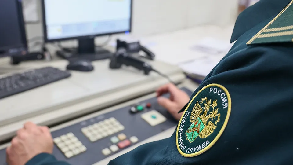 Фото: ТАСС/Сергей Булкин