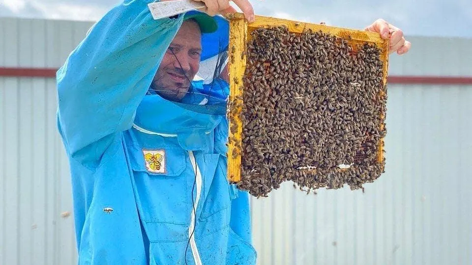 Фото: Минсельхоз МО