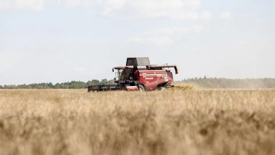 Фото: пресс-служба администрации г. о. Кашира