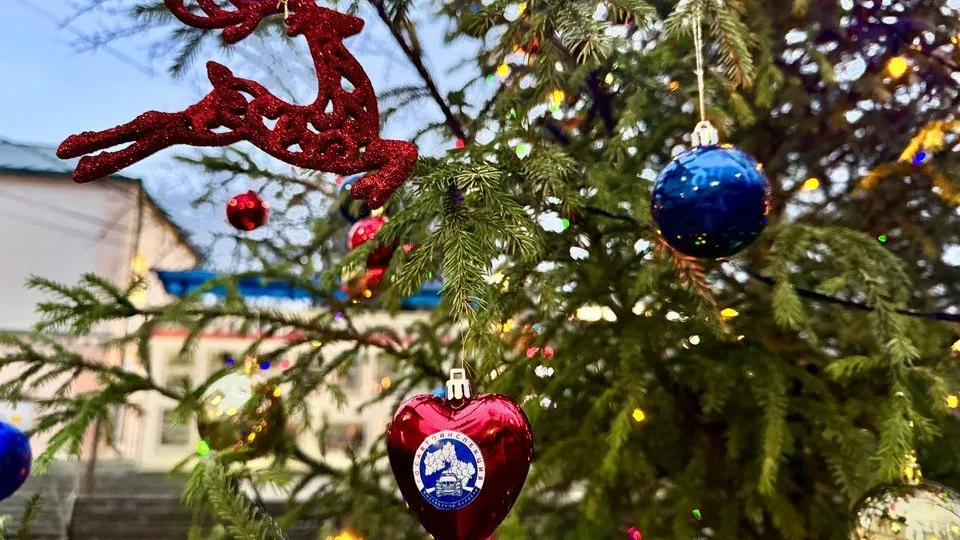 Фото: Госавтоинспекция г.о. Красногорск