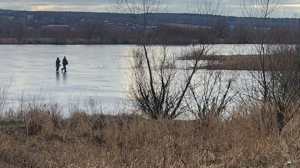 Фото: МедиаБанк Подмосковья/Марина Анисимова