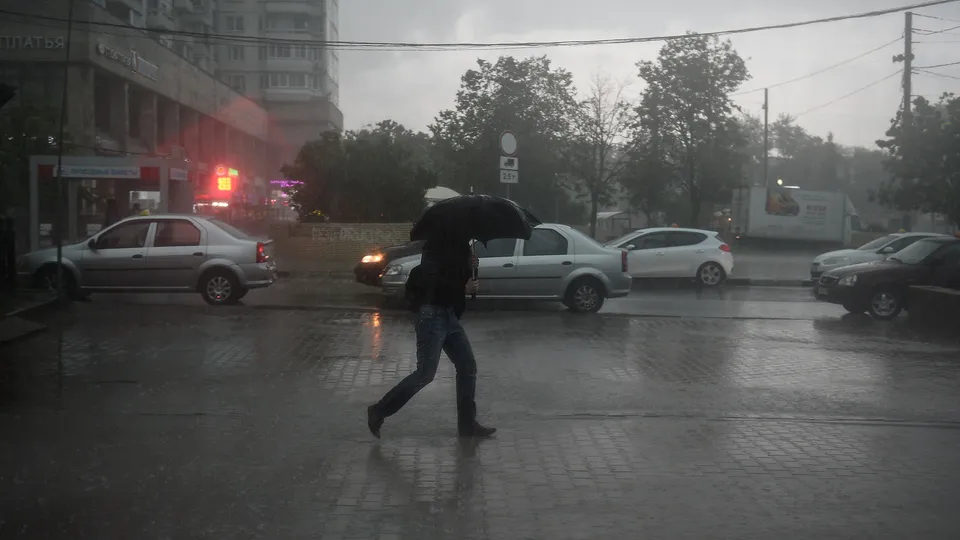 Фото: Медиаархив Подмосковья