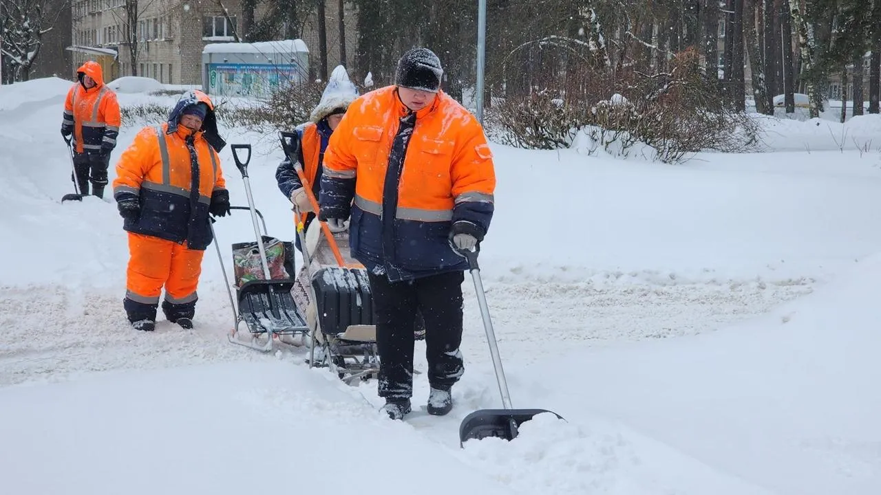 REGIONS/Анна Мороз