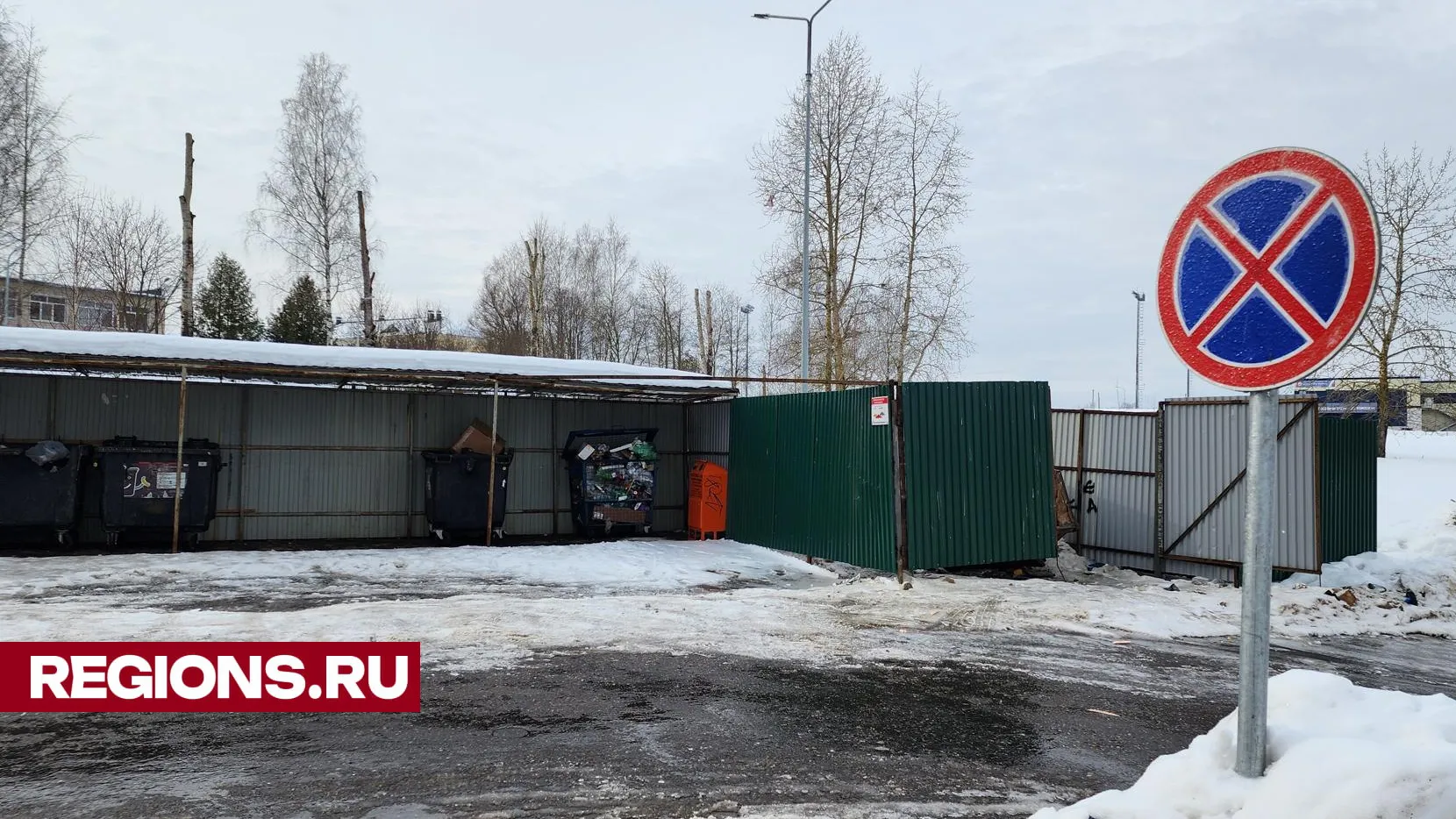 Светлана Борщева