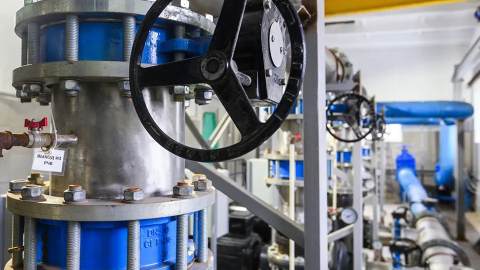 Фото: медиасток.рф