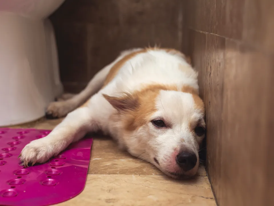 Фото: istockphoto.com