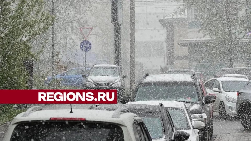 Фото: Дарья Леонова