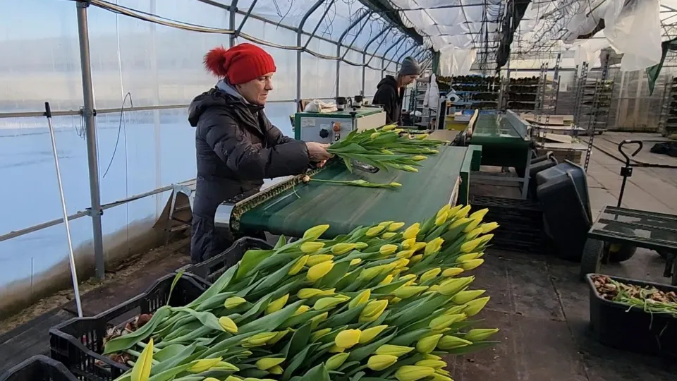 Фото: Дмитрий Алексеенко