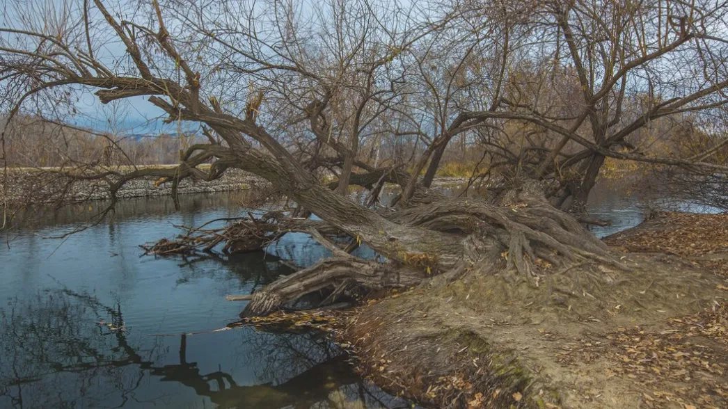 Фото: freepik.com